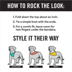 Frisco Santa's Favorite Elf Personalized Dog & Cat Bandana 10 Frisco Santa's Favorite Elf Personalized Dog & Cat Bandana -Mewhaus Shop 301369 PT2. AC SS1800 V1623274661