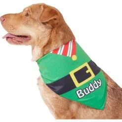 Frisco Santa's Favorite Elf Personalized Dog & Cat Bandana 14 Frisco Santa's Favorite Elf Personalized Dog & Cat Bandana -Mewhaus Shop 301369 PT6. AC SS1800 V1628100146