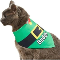 Frisco Santa's Favorite Elf Personalized Dog & Cat Bandana 15 Frisco Santa's Favorite Elf Personalized Dog & Cat Bandana -Mewhaus Shop 301369 PT7. AC SS1800 V1628100114