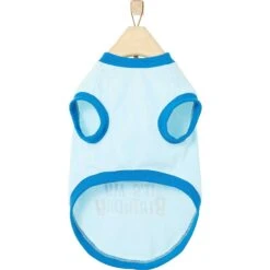 Frisco Happy Birthday Dog & Cat Crown & Frisco It's My Birthday & Cat T-Shirt -Mewhaus Shop 302470 PT6. AC SS1800 V1623065555