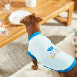 Frisco Happy Birthday Dog & Cat Crown & Frisco It's My Birthday & Cat T-Shirt -Mewhaus Shop 302470 PT7. AC SS1800 V1623037657