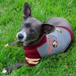 Pets First Sport Team Dog & Cat Hoodie T-Shirt -Mewhaus Shop 305556 PT2. AC SS1800 V1632419479