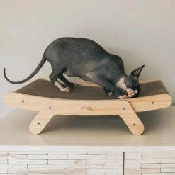 Mau Lifestyle Cardboard Cat Scratcher -Mewhaus Shop 308909 PT2. AC SS1800 V1635202579