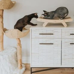 Mau Lifestyle Cardboard Cat Scratcher -Mewhaus Shop 308909 PT3. AC SS1800 V1635198754