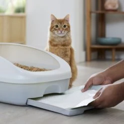 Frisco Cat Litter Pads, Scented -Mewhaus Shop 309828 PT5. AC SS1800 V1675280050