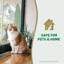 Nature's Miracle Cat Urine Destroyer Plus Enzymatic Stain Remover Foam Aerosol Spray, 17.5-oz Bottle -Mewhaus Shop 313854 PT7. AC SS1800 V1701116506