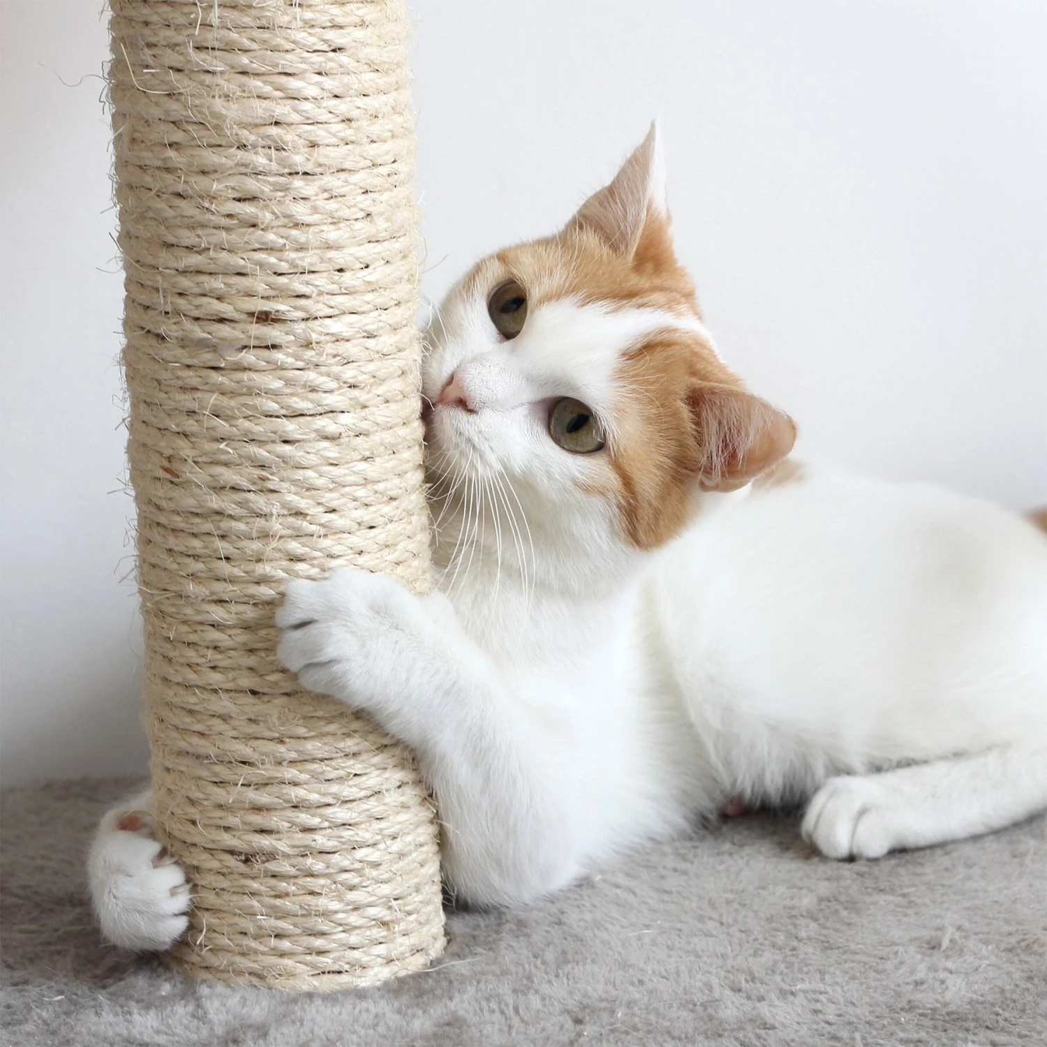 Pet Adobe 3-Tier 27.5-in Cat Tree & Condo 5 Pet Adobe 3-Tier 27.5-in Cat Tree & Condo - Image 5