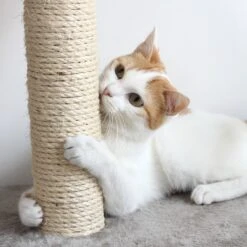 Pet Adobe Multi-Level 66.3-in Cat Tree & Condo 9 Pet Adobe Multi-Level 66.3-in Cat Tree & Condo -Mewhaus Shop 315012 PT4. AC SS1800 V1626388935