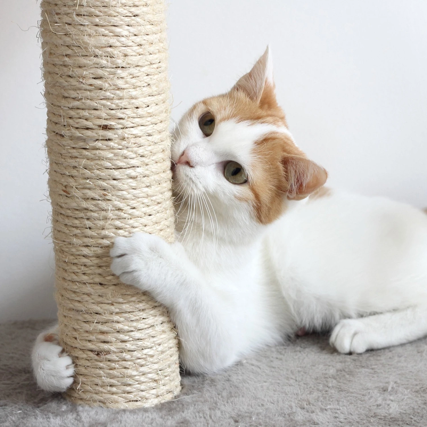 Pet Adobe Multi-Level 66.3-in Cat Tree & Condo 4 Pet Adobe Multi-Level 66.3-in Cat Tree & Condo - Image 4