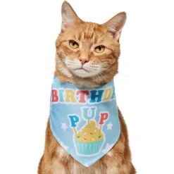 Frisco Birthday Pup Dog & Cat Bandana 9 Frisco Birthday Pup Dog & Cat Bandana -Mewhaus Shop 315130 PT2. AC SS1800 V1646437964