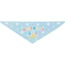 Frisco Birthday Pup Dog & Cat Bandana 11 Frisco Birthday Pup Dog & Cat Bandana -Mewhaus Shop 315130 PT5. AC SS1800 V1646434611