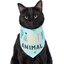 Frisco Party Animal Dog & Cat Bandana -Mewhaus Shop 315136 PT2. AC SS1800 V1646438016