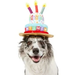 Disney Mickey Mouse Birthday Dog & Cat Hat 7 Disney Mickey Mouse Birthday Dog & Cat Hat -Mewhaus Shop 316077 PT2. AC SS1800 V1646176394