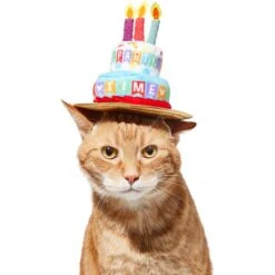 Disney Mickey Mouse Birthday Dog & Cat Hat 8 Disney Mickey Mouse Birthday Dog & Cat Hat -Mewhaus Shop 316077 PT3. AC SS1800 V1646181348