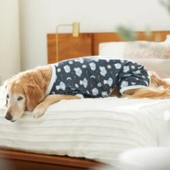 Disney Winnie The Pooh Nite Time Dog & Cat Pajama 11 Disney Winnie The Pooh Nite Time Dog & Cat Pajama -Mewhaus Shop 316098 PT8. AC SS1800 V1646177678