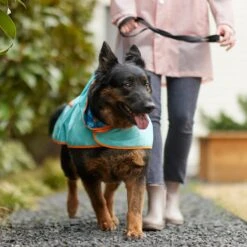 Pixar Finding Nemo Lightweight "Make A Splash" Dog & Cat Packable Raincoat 15 Pixar Finding Nemo Lightweight "Make A Splash" Dog & Cat Packable Raincoat -Mewhaus Shop 316506 PT8. AC SS1800 V1646180597