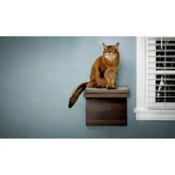 Litterbox.com Cat Shelf, 2 Count -Mewhaus Shop 316910 PT2. AC SS1800 V1634088719