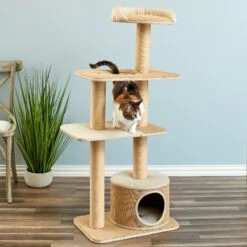 Two By Two The Cottonwood 51-in Cat Tree & Condo, Beige -Mewhaus Shop 316954 PT4. AC SS1800 V1642644729