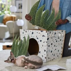 Frisco Potted Succulent Cardboard Cat House -Mewhaus Shop 317723 PT3. AC SS1800 V1688677248