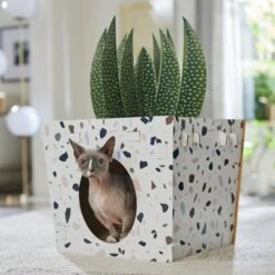 Frisco Potted Succulent Cardboard Cat House -Mewhaus Shop 317723 PT4. AC SS1800 V1688677260
