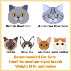 Yaheetech 63.5-in Plush Cat Tree & Condo 11 Yaheetech 63.5-in Plush Cat Tree & Condo -Mewhaus Shop 325702 PT2. AC SS1800 V1686153350