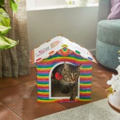 Frisco Pride Love Wins Cardboard Cat House -Mewhaus Shop 331675 PT3. AC SS1800 V1647356081