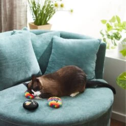 Frisco Pride Buttons Plush Cat Toy With Catnip, 3 Count -Mewhaus Shop 331688 PT3. AC SS1800 V1647355746