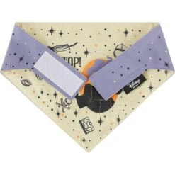 Disney Hocus Pocus Reversible Dog & Cat Bandana -Mewhaus Shop 334706 PT6. AC SS1800 V1657656875