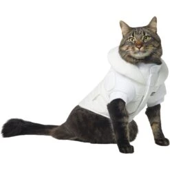 STAR WARS PRINCESS LEIA HOTH Dog & Cat Puffer Jacket -Mewhaus Shop 335219 PT2. AC SS1800 V1657656946