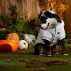 STAR WARS PRINCESS LEIA HOTH Dog & Cat Puffer Jacket -Mewhaus Shop 335219 PT8. AC SS1800 V1657656945