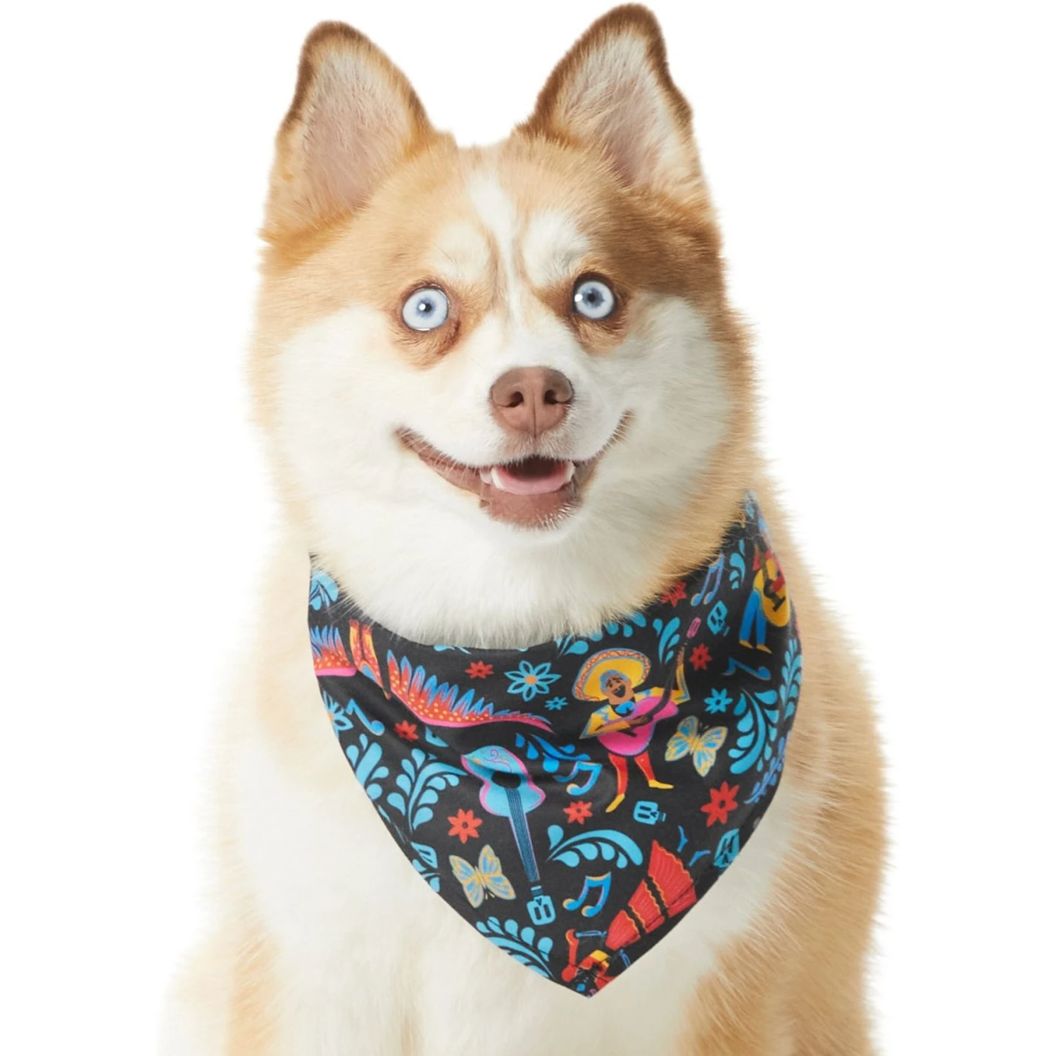 Pixar Coco Remember Me Dog & Cat Bandana 1 Pixar Coco Remember Me Dog & Cat Bandana