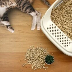 Casual Home Natural Pine Pellet Unscented Non-Clumping Cat Litter, 20-lb Bag -Mewhaus Shop 338569 PT6. AC SS1800 V1635349342