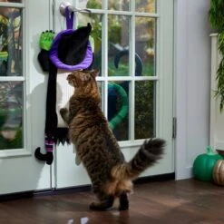 Frisco Halloween Witch Doorknob Hanger Cat Toy With Catnip 8 Frisco Halloween Witch Doorknob Hanger Cat Toy With Catnip -Mewhaus Shop 344092 PT3. AC SS1800 V1657657035