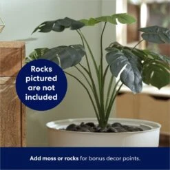 Frisco Hidden Planter Cat Litter Box, 16-in 10 Frisco Hidden Planter Cat Litter Box, 16-in -Mewhaus Shop 345566 PT4. AC SS1800 V1668737273