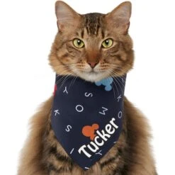 Disney "M-I-C-K-E-Y M-O-U-S-E" Personalized Dog & Cat Bandana -Mewhaus Shop 346374 PT2. AC SS1800 V1671228217