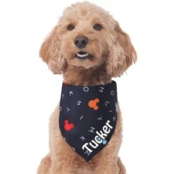 Disney "M-I-C-K-E-Y M-O-U-S-E" Personalized Dog & Cat Bandana -Mewhaus Shop 346374 PT3. AC SS1800 V1671228218