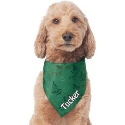 Disney Frozen's Olaf & Marshmallow Personalized Dog & Cat Bandana -Mewhaus Shop 346382 PT3. AC SS1800 V1672179021