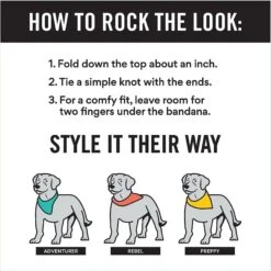 Disney Frozen's Olaf & Marshmallow Personalized Dog & Cat Bandana -Mewhaus Shop 346382 PT7. AC SS1800 V1671228216