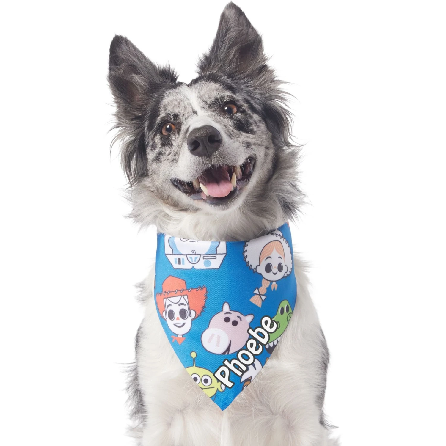 Pixar Toy Story Version2 Personalized Dog & Cat Bandana 4 Pixar Toy Story Version2 Personalized Dog & Cat Bandana - Image 4