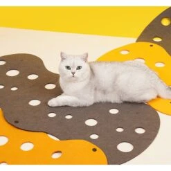 ZEZE "The Cheese" Adjustable Tunnel Cat Toy -Mewhaus Shop 347443 PT5. AC SS1800 V1657657091