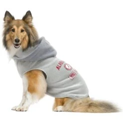 Littlearth NCAA Dog & Cat Hooded Crewneck Sweater 6 Littlearth NCAA Dog & Cat Hooded Crewneck Sweater -Mewhaus Shop 350080 PT2. AC SS1800 V1641428833
