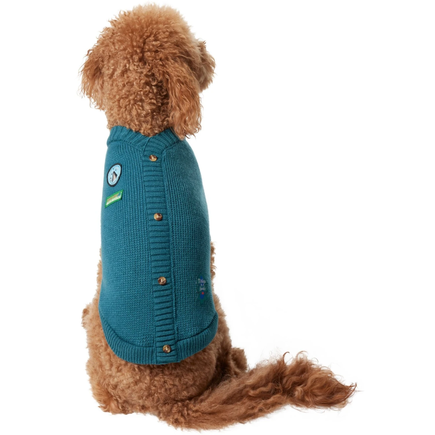 Frisco Teal Button Down Dog & Cat Sweater 3 Frisco Teal Button Down Dog & Cat Sweater - Image 3