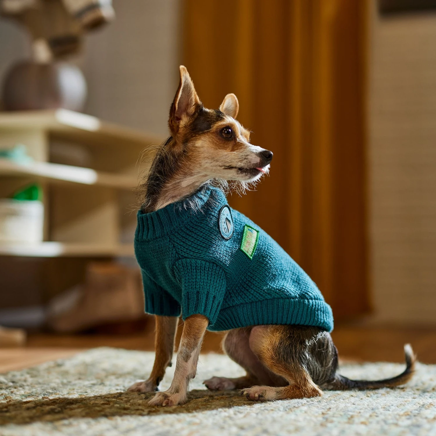 Frisco Teal Button Down Dog & Cat Sweater 6 Frisco Teal Button Down Dog & Cat Sweater - Image 6