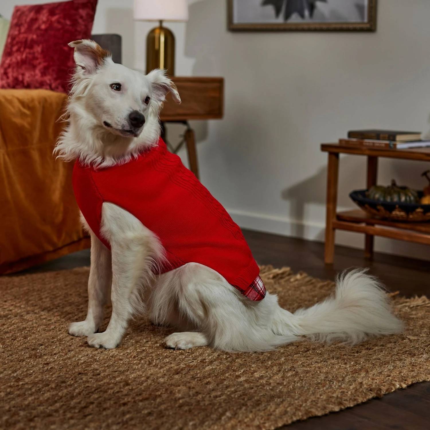 Frisco Plaid Cable Knit Dog & Cat Sweater 6 Frisco Plaid Cable Knit Dog & Cat Sweater - Image 6