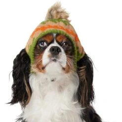Frisco Striped Poof Dog & Cat Knitted Hat 8 Frisco Striped Poof Dog & Cat Knitted Hat -Mewhaus Shop 353793 PT2. AC SS1800 V1659008241