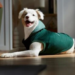 Frisco Lightweight Classic Dog & Cat Coat -Mewhaus Shop 353901 PT7. AC SS1800 V1660749440