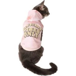Mewhaus Shop 13 Frisco Pawsitive Vibes Only Dog & Cat Hoodie