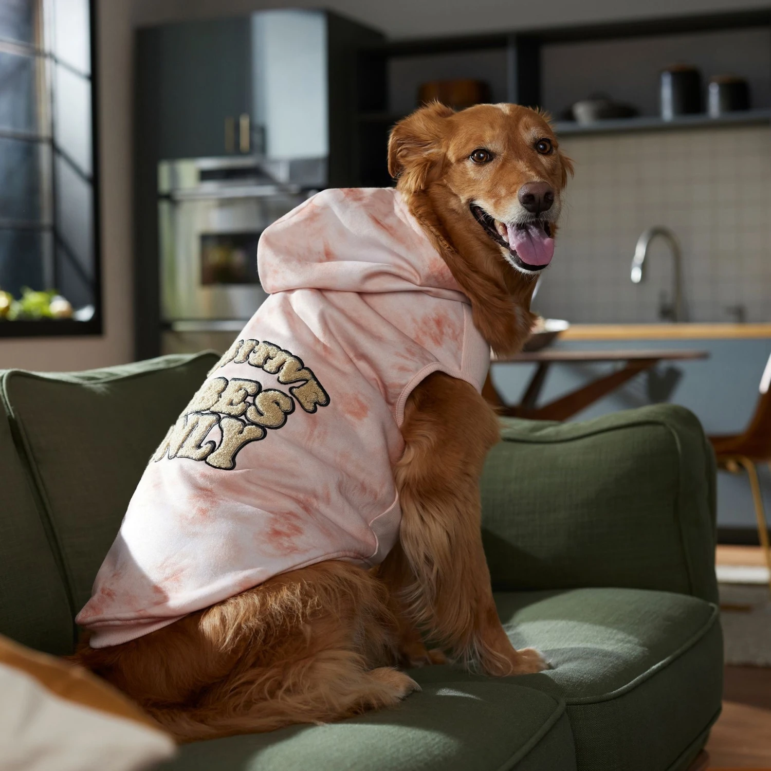 Frisco Pawsitive Vibes Only Dog & Cat Hoodie 7 Frisco Pawsitive Vibes Only Dog & Cat Hoodie - Image 7