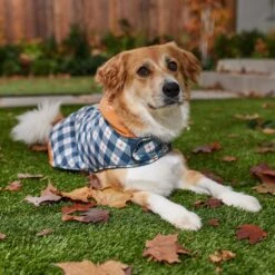 Disney Mediumweight Minnie Quilted Dog & Cat Puffer Coat -Mewhaus Shop 354020 PT8. AC SS1800 V1660749505