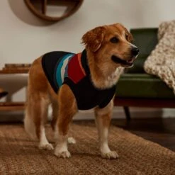 STAR WARS Retro Fleece Dog & Cat Hoodie -Mewhaus Shop 354027 PT8. AC SS1800 V1660750163